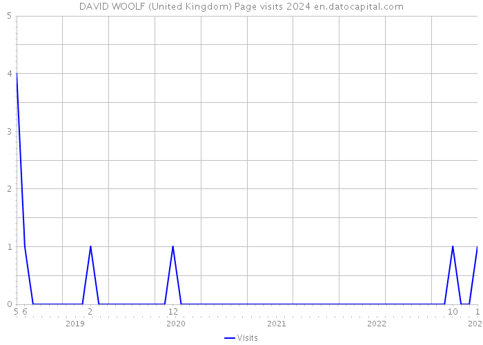 DAVID WOOLF (United Kingdom) Page visits 2024 