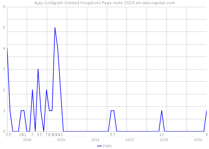 Ajay Gollapalli (United Kingdom) Page visits 2024 