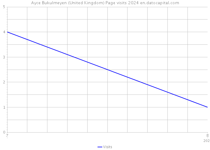 Ayce Bukulmeyen (United Kingdom) Page visits 2024 
