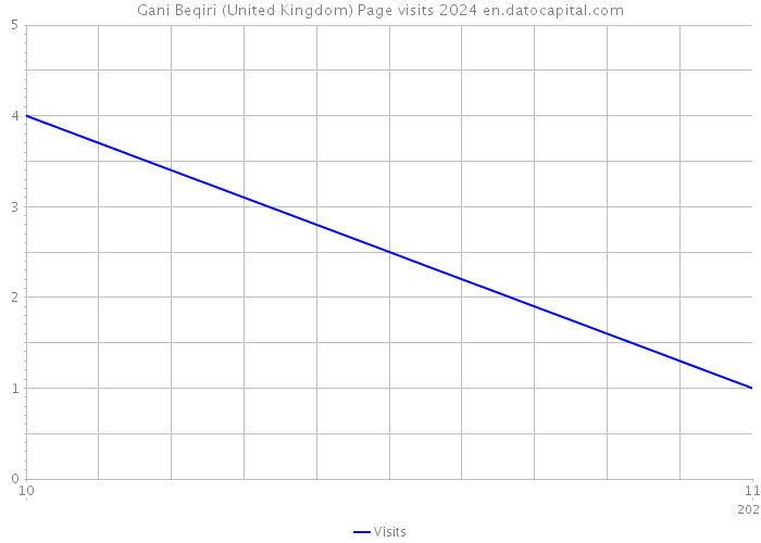 Gani Beqiri (United Kingdom) Page visits 2024 