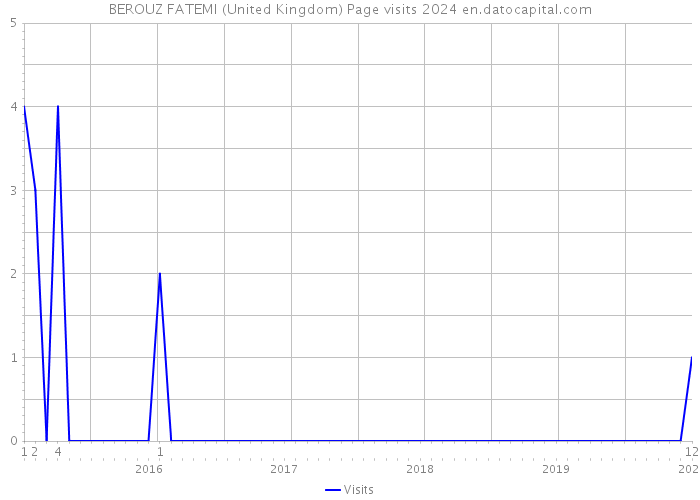 BEROUZ FATEMI (United Kingdom) Page visits 2024 