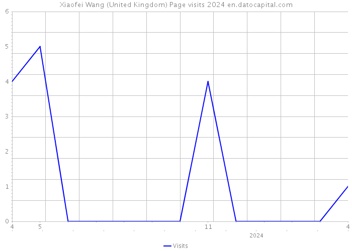 Xiaofei Wang (United Kingdom) Page visits 2024 