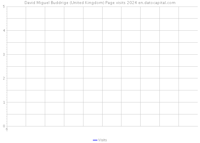David Miguel Buddrige (United Kingdom) Page visits 2024 