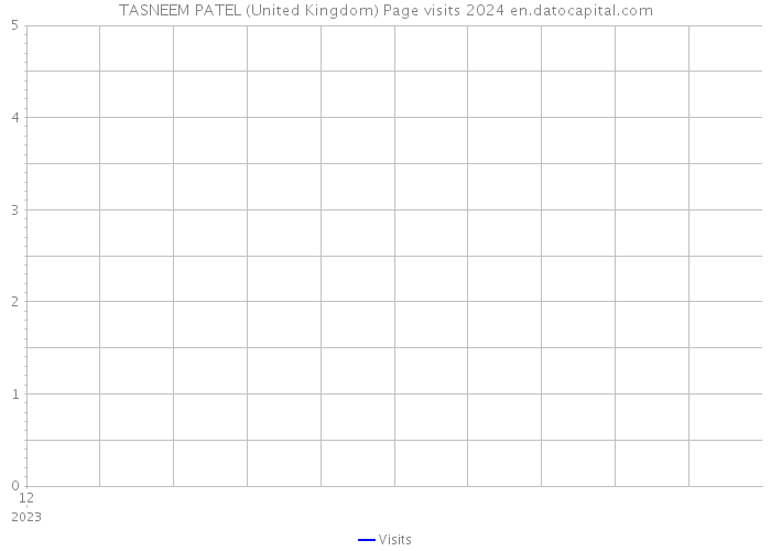 TASNEEM PATEL (United Kingdom) Page visits 2024 