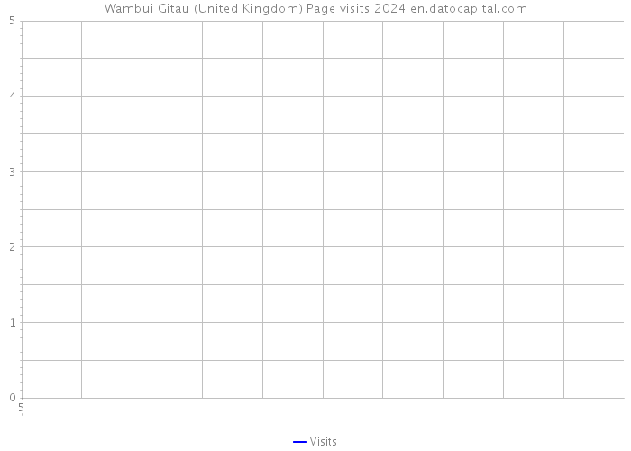 Wambui Gitau (United Kingdom) Page visits 2024 
