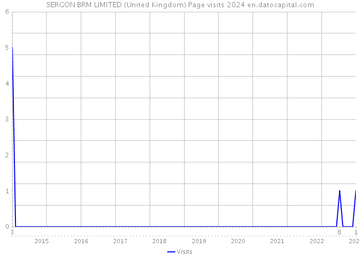 SERGON BRM LIMITED (United Kingdom) Page visits 2024 
