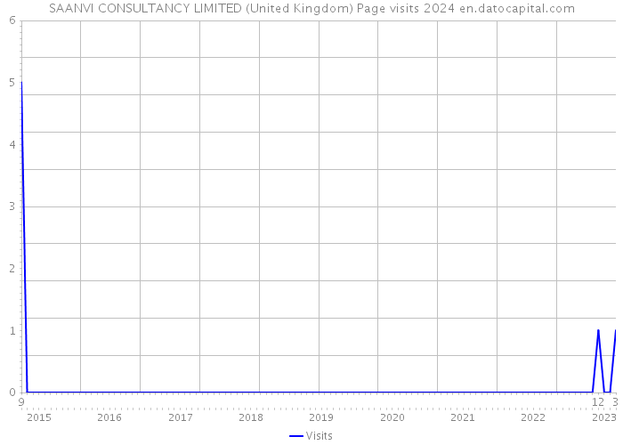 SAANVI CONSULTANCY LIMITED (United Kingdom) Page visits 2024 