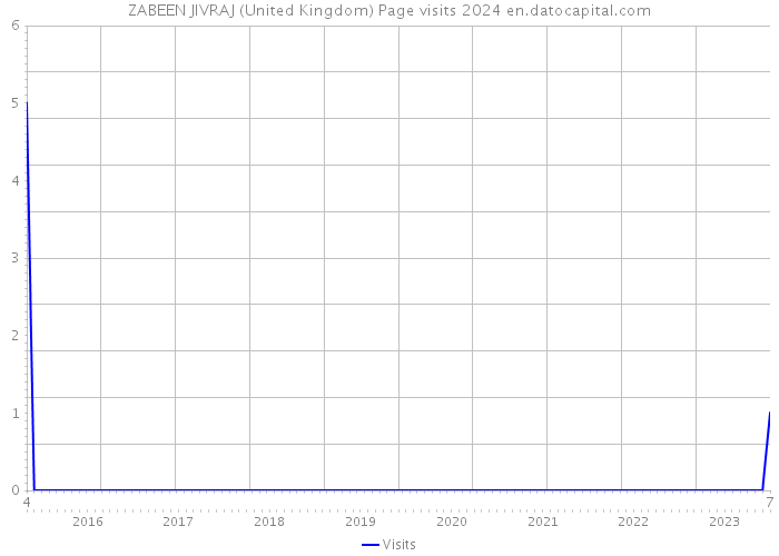 ZABEEN JIVRAJ (United Kingdom) Page visits 2024 