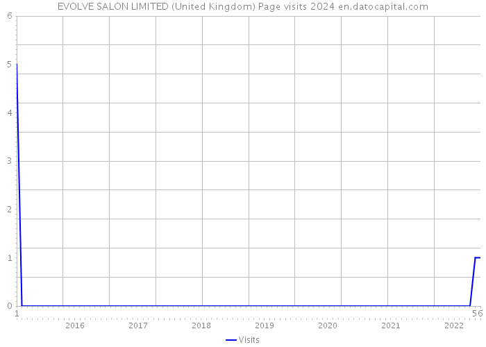 EVOLVE SALON LIMITED (United Kingdom) Page visits 2024 