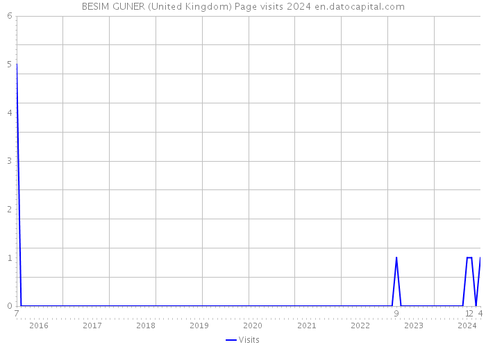BESIM GUNER (United Kingdom) Page visits 2024 