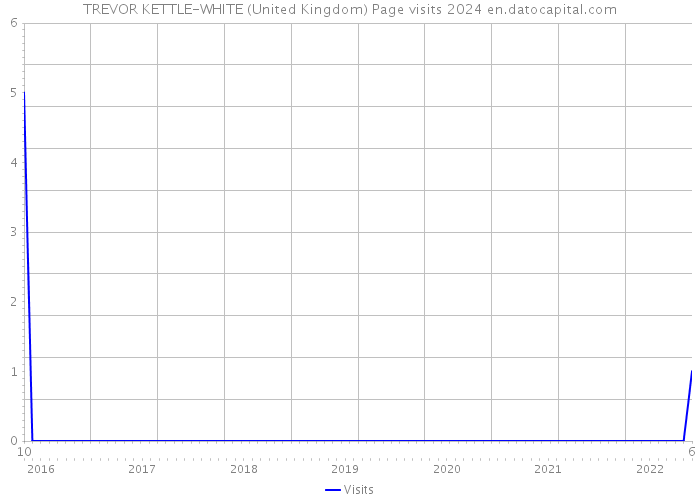 TREVOR KETTLE-WHITE (United Kingdom) Page visits 2024 
