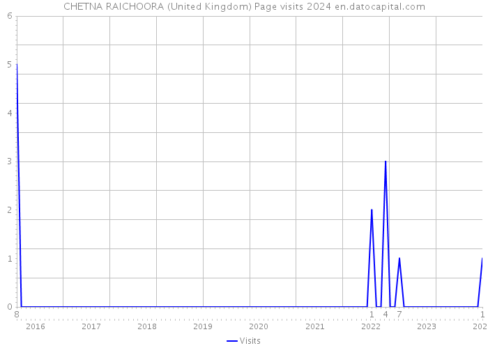 CHETNA RAICHOORA (United Kingdom) Page visits 2024 