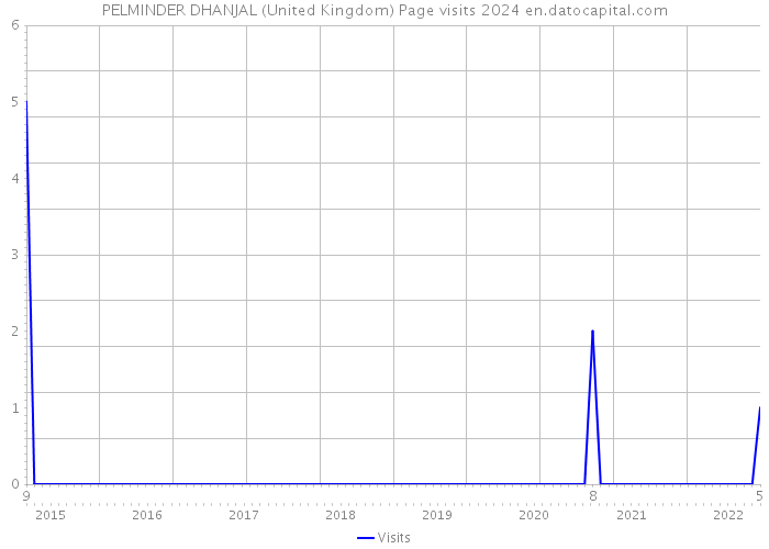 PELMINDER DHANJAL (United Kingdom) Page visits 2024 