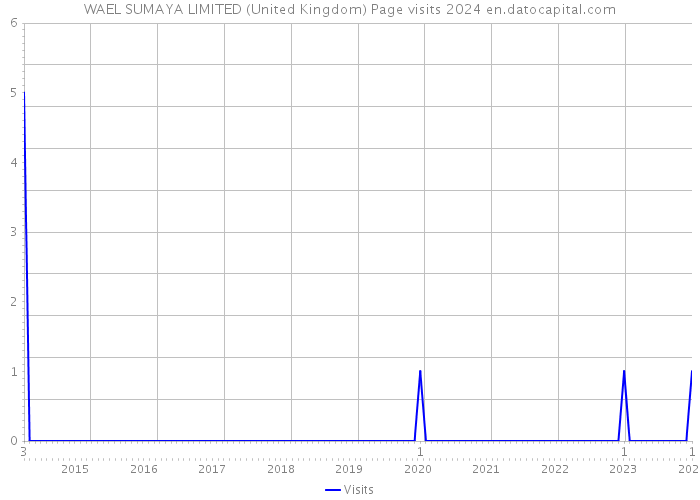 WAEL SUMAYA LIMITED (United Kingdom) Page visits 2024 