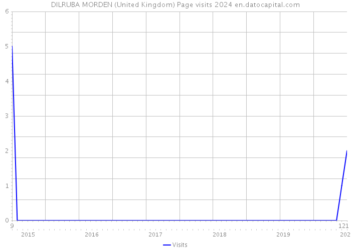DILRUBA MORDEN (United Kingdom) Page visits 2024 