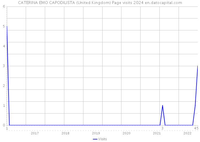 CATERINA EMO CAPODILISTA (United Kingdom) Page visits 2024 