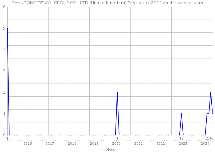 SHANDONG TENGYI GROUP CO., LTD (United Kingdom) Page visits 2024 
