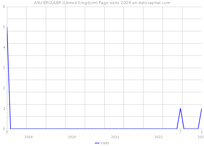 ASU ERGULER (United Kingdom) Page visits 2024 