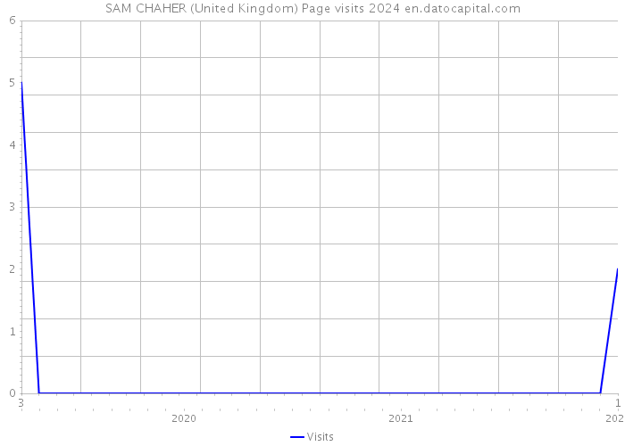 SAM CHAHER (United Kingdom) Page visits 2024 