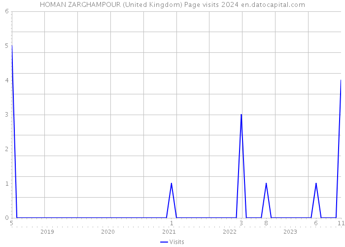 HOMAN ZARGHAMPOUR (United Kingdom) Page visits 2024 