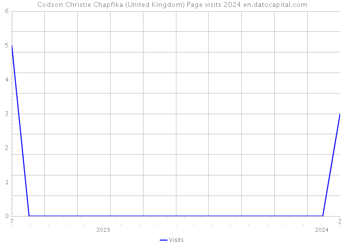 Codson Christie Chapfika (United Kingdom) Page visits 2024 