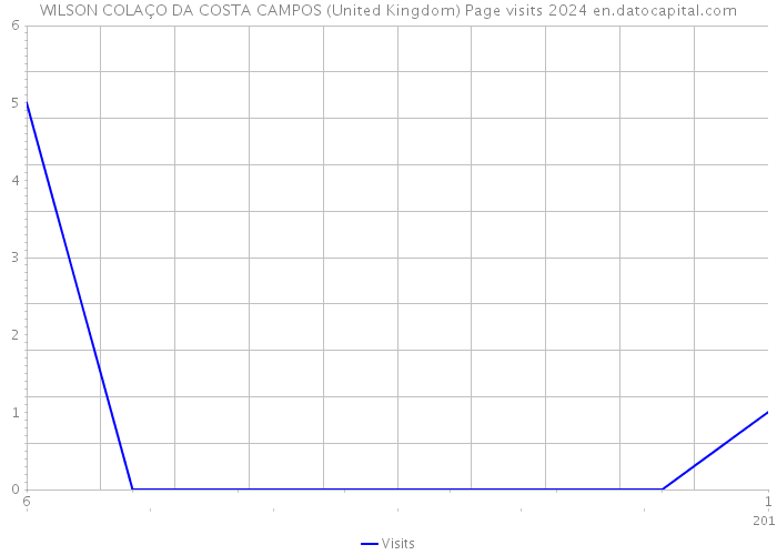 WILSON COLAÇO DA COSTA CAMPOS (United Kingdom) Page visits 2024 