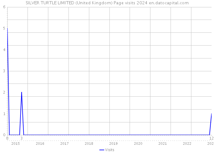 SILVER TURTLE LIMITED (United Kingdom) Page visits 2024 
