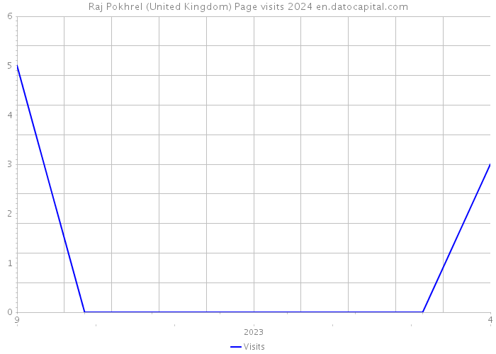 Raj Pokhrel (United Kingdom) Page visits 2024 