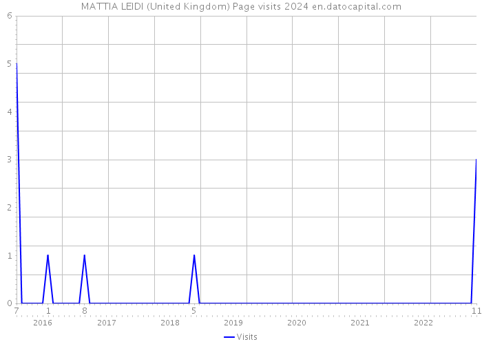 MATTIA LEIDI (United Kingdom) Page visits 2024 