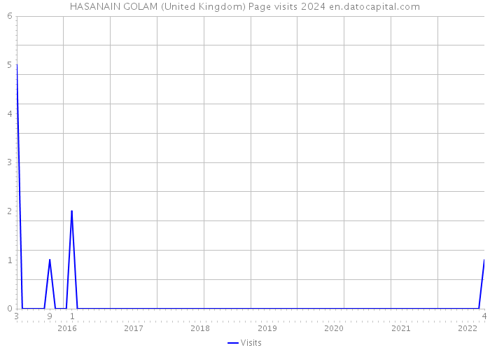 HASANAIN GOLAM (United Kingdom) Page visits 2024 
