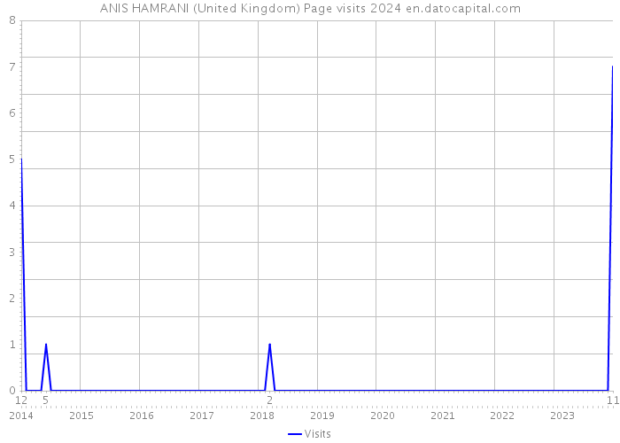 ANIS HAMRANI (United Kingdom) Page visits 2024 