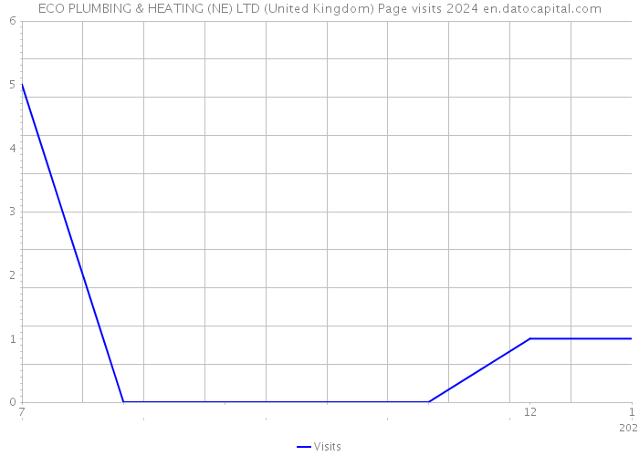 ECO PLUMBING & HEATING (NE) LTD (United Kingdom) Page visits 2024 