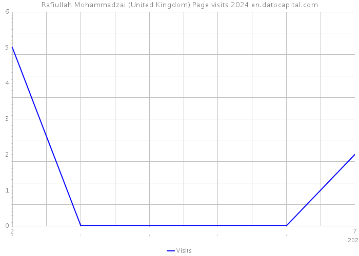 Rafiullah Mohammadzai (United Kingdom) Page visits 2024 