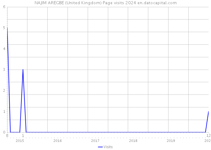 NAJIM AREGBE (United Kingdom) Page visits 2024 