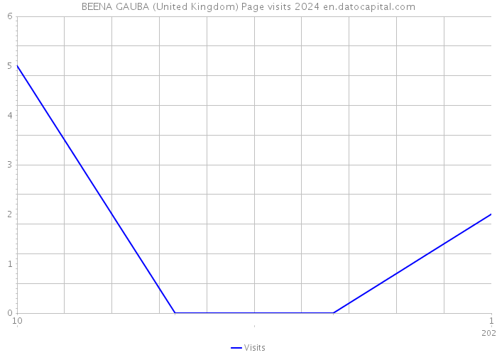 BEENA GAUBA (United Kingdom) Page visits 2024 