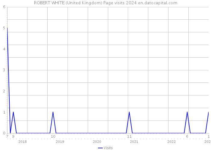 ROBERT WHITE (United Kingdom) Page visits 2024 