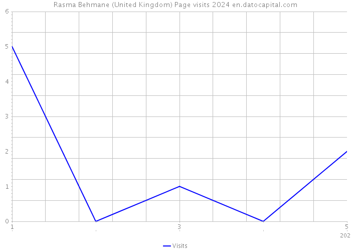 Rasma Behmane (United Kingdom) Page visits 2024 