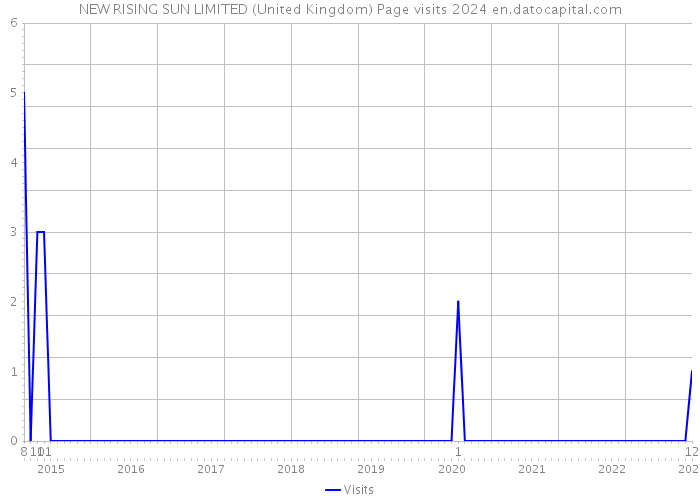 NEW RISING SUN LIMITED (United Kingdom) Page visits 2024 