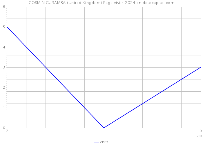 COSMIN GURAMBA (United Kingdom) Page visits 2024 