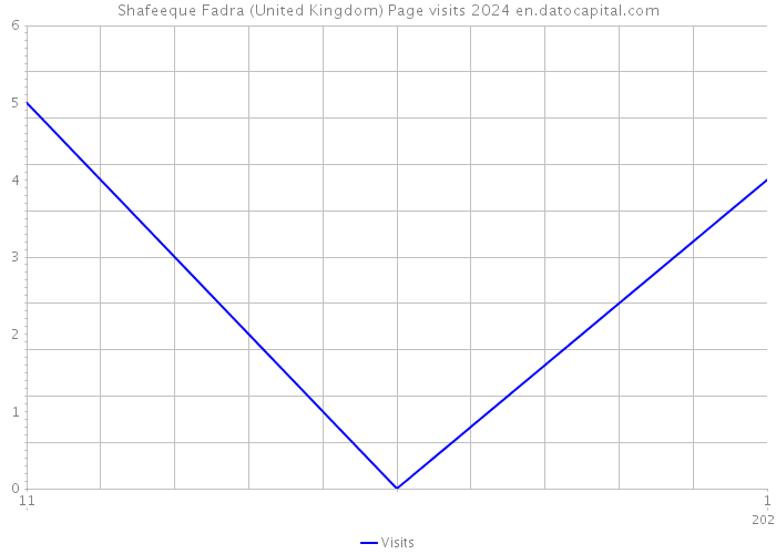 Shafeeque Fadra (United Kingdom) Page visits 2024 
