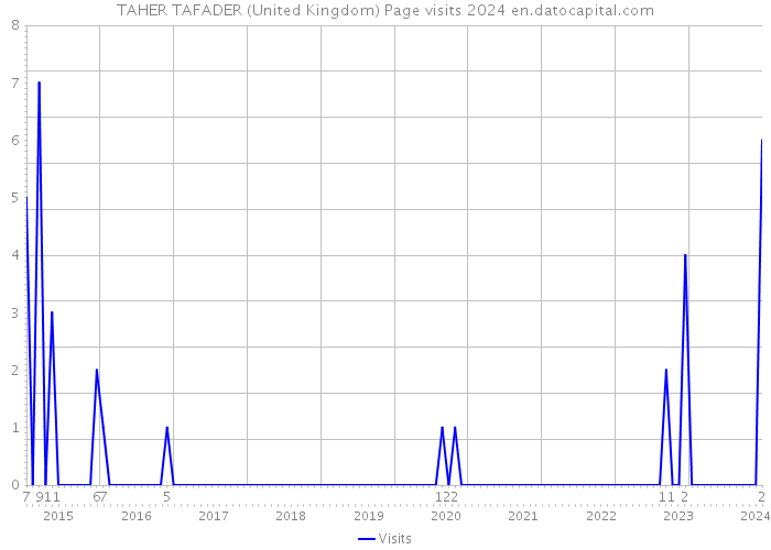 TAHER TAFADER (United Kingdom) Page visits 2024 
