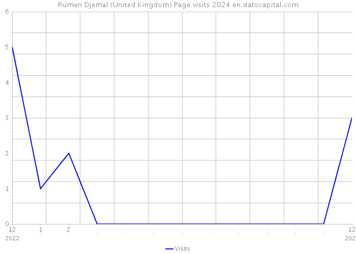Rumen Djemal (United Kingdom) Page visits 2024 