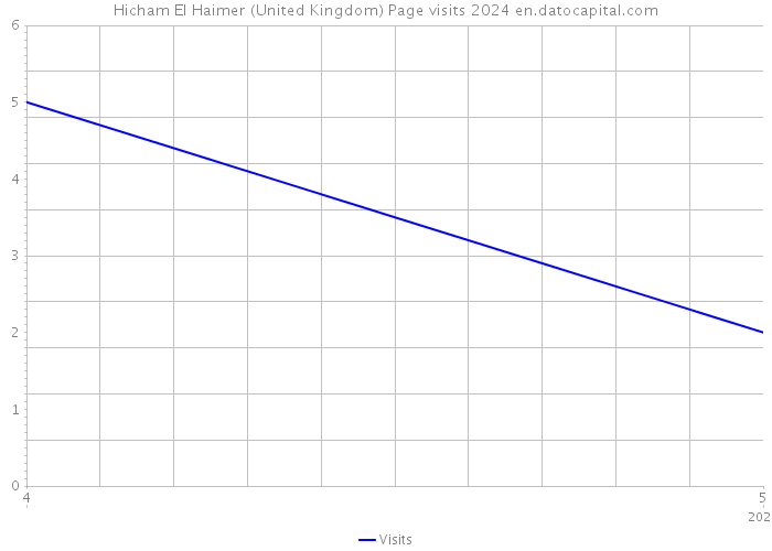 Hicham El Haimer (United Kingdom) Page visits 2024 
