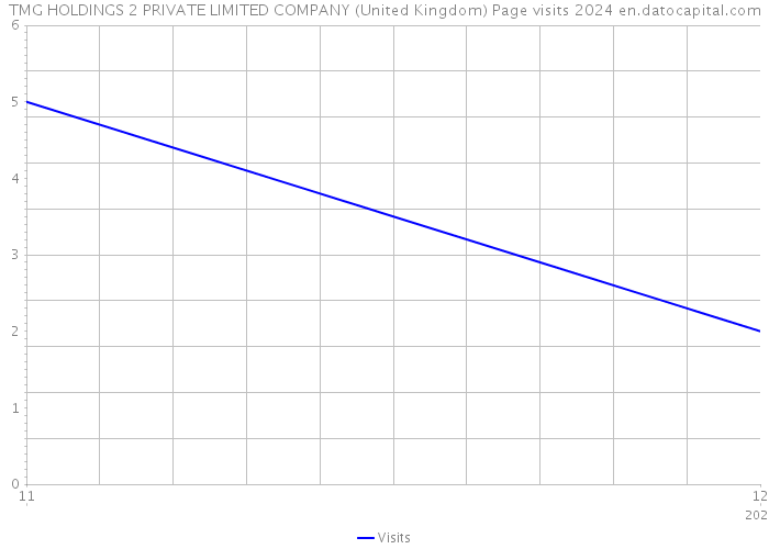 TMG HOLDINGS 2 PRIVATE LIMITED COMPANY (United Kingdom) Page visits 2024 