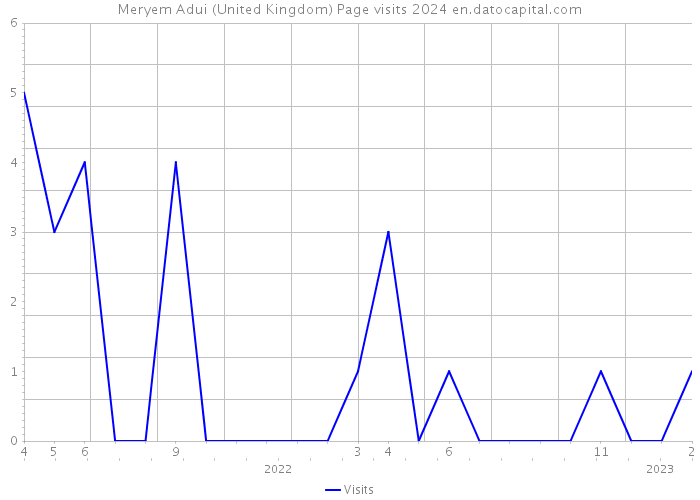 Meryem Adui (United Kingdom) Page visits 2024 