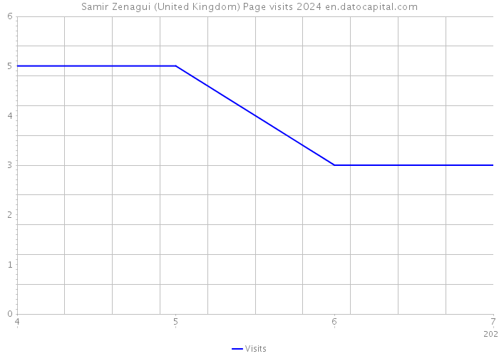 Samir Zenagui (United Kingdom) Page visits 2024 