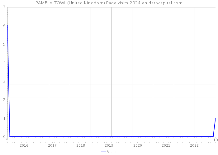 PAMELA TOWL (United Kingdom) Page visits 2024 