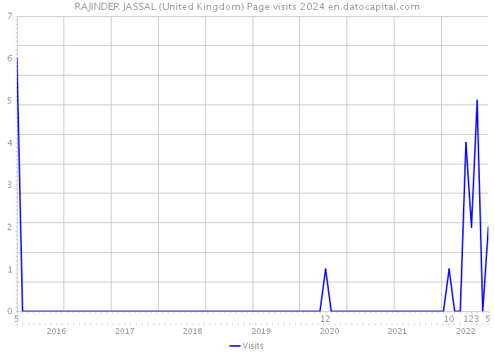 RAJINDER JASSAL (United Kingdom) Page visits 2024 