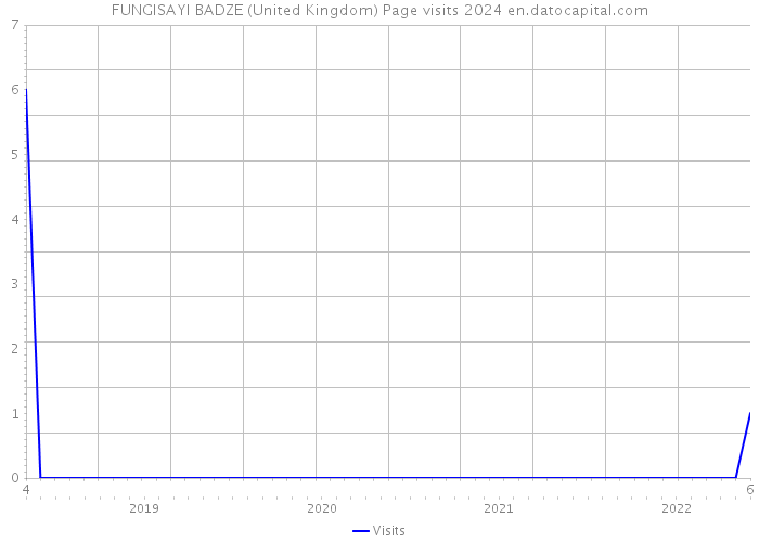 FUNGISAYI BADZE (United Kingdom) Page visits 2024 