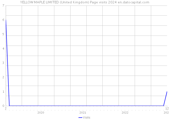 YELLOW MAPLE LIMITED (United Kingdom) Page visits 2024 